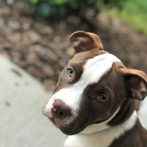 Meet your Posher, Delaynee